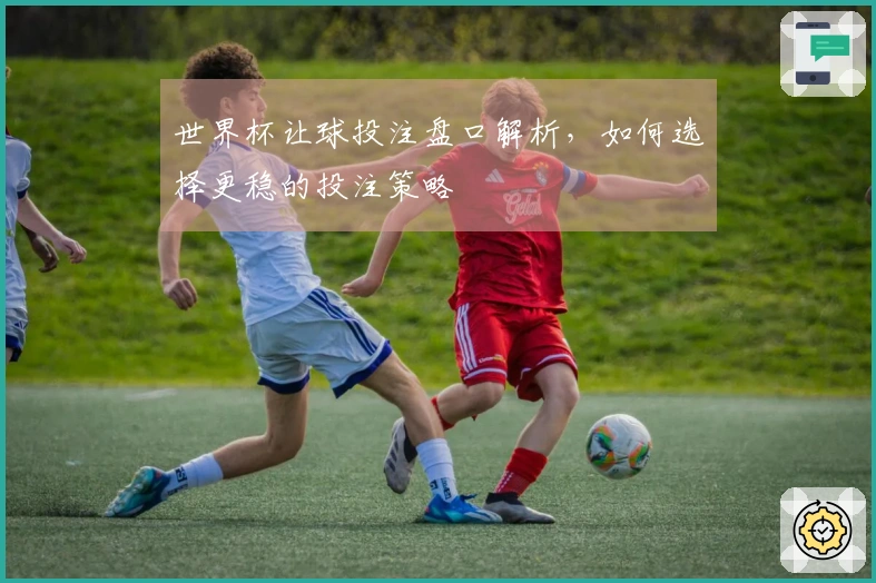 世界杯让球投注盘口解析，如何选择更稳的投注策略