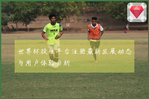 世界杯投注平台注册最新发展动态与用户体验分析