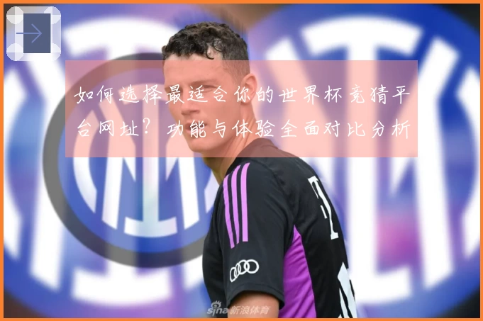 如何选择最适合你的世界杯竞猜平台网址？功能与体验全面对比分析