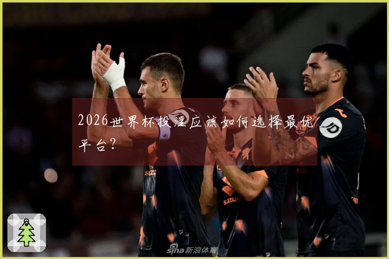 2026世界杯投注应该如何选择最优平台？