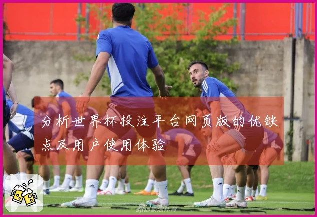 分析世界杯投注平台网页版的优缺点及用户使用体验