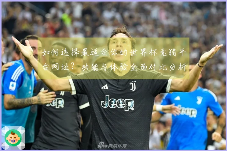 如何选择最适合你的世界杯竞猜平台网址？功能与体验全面对比分析