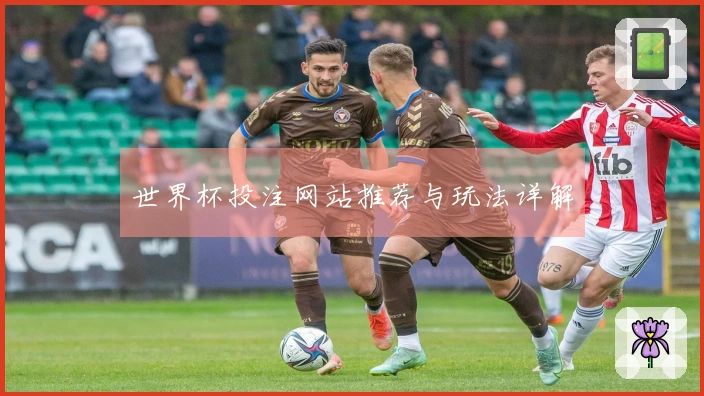 世界杯投注网站推荐与玩法详解