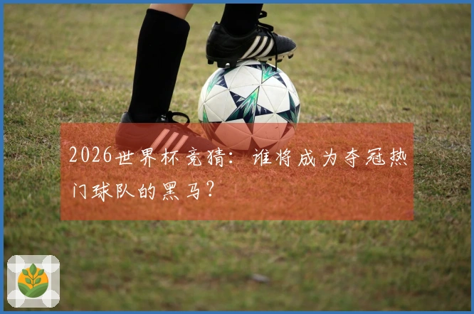 2026世界杯竞猜：谁将成为夺冠热门球队的黑马？