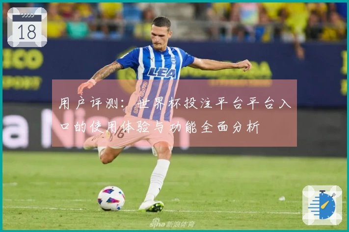 用户评测：世界杯投注平台平台入口的使用体验与功能全面分析