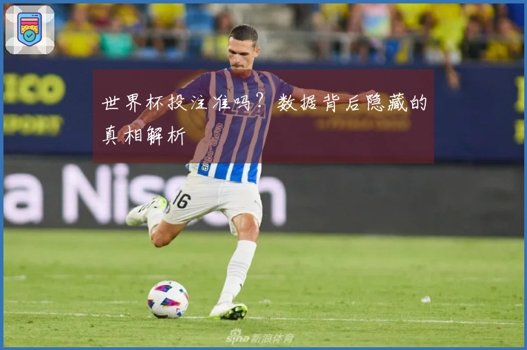 世界杯投注准吗？数据背后隐藏的真相解析