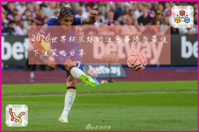 2026世界杯买球的注意事项与最佳下注策略分享