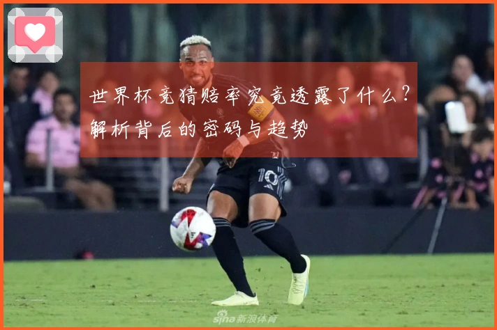 世界杯竞猜赔率究竟透露了什么？解析背后的密码与趋势