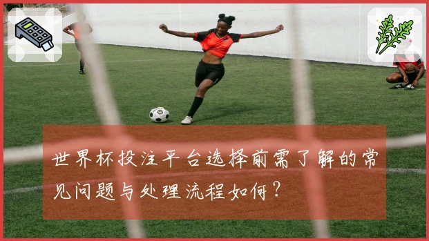 世界杯投注平台选择前需了解的常见问题与处理流程如何？