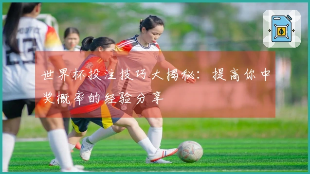 世界杯投注技巧大揭秘：提高你中奖概率的经验分享