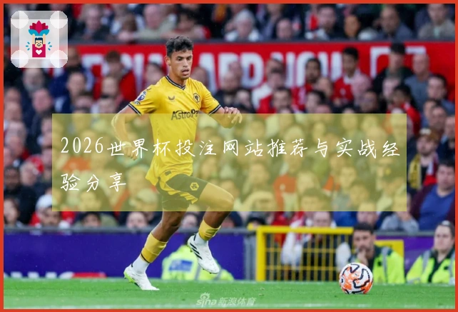 2026世界杯投注网站推荐与实战经验分享