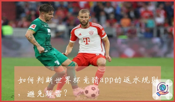 如何判断世界杯竞猜app的返水规则，避免踩雷？