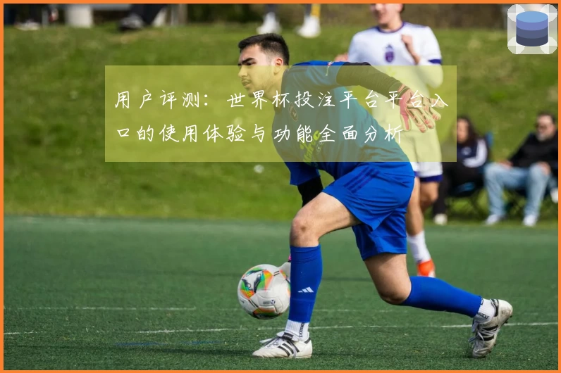 用户评测：世界杯投注平台平台入口的使用体验与功能全面分析
