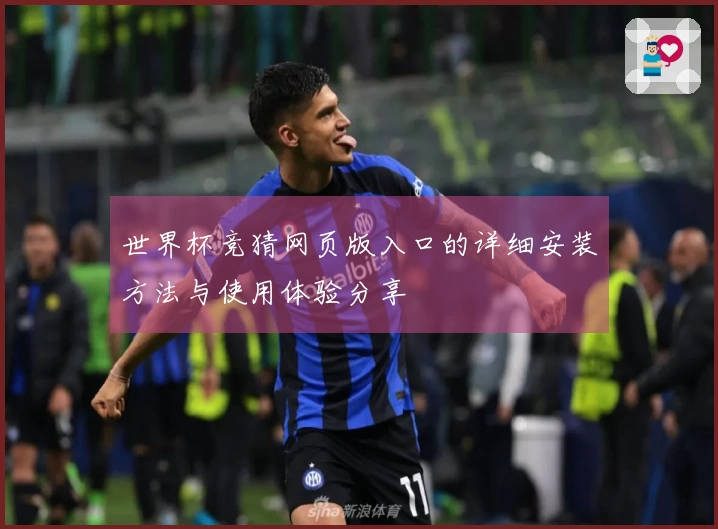 世界杯竞猜网页版入口的详细安装方法与使用体验分享