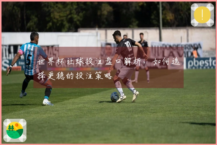 世界杯让球投注盘口解析，如何选择更稳的投注策略
